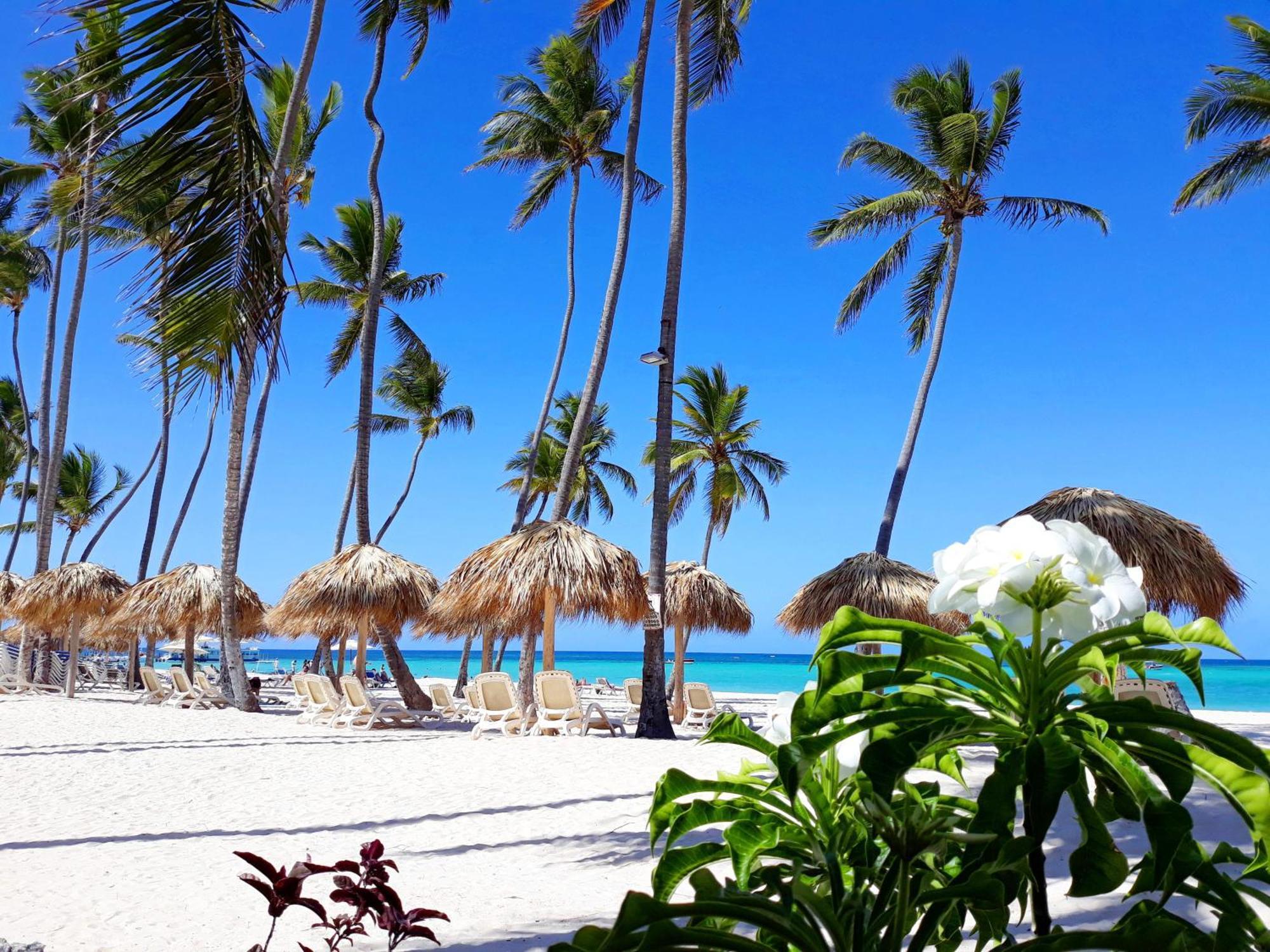 La Flor del Caribe Beach&SPA Punta Cana Zimmer foto